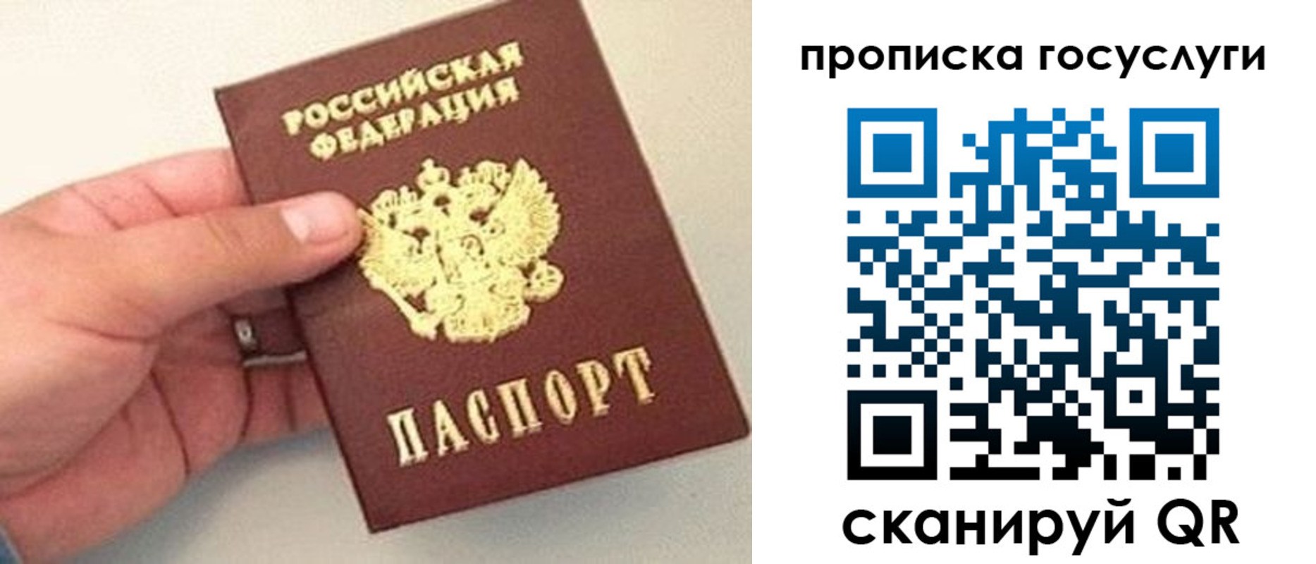 где прописаться в Гороховце